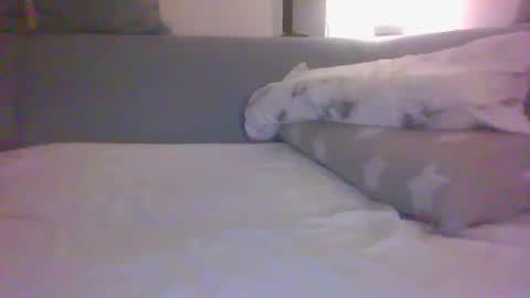 Snapshot of ali_monaco chatting on March 3, 10:29 pm Ali Monaco online show from March 3, 10:29 pm