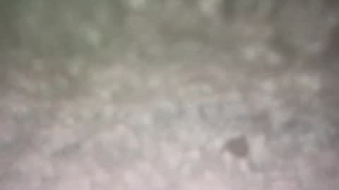 all_most_sane online show from February 20, 7:15 pm