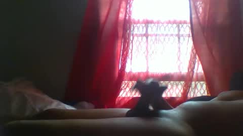 allbermy online show from May 3, 11:46 am