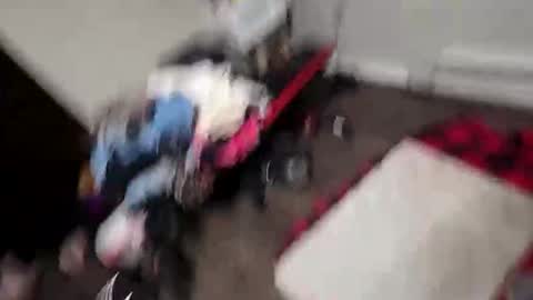 alldickandass11 online show from February 10, 11:31 pm