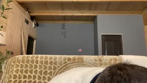 Jhonny online show from November 19, 3:50 am