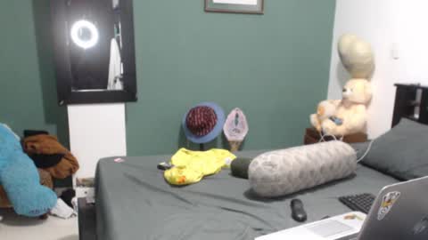 Snapshot of americanbig_dick chatting on September 10, 2:10 am Lucian online show from September 10, 2:10 am