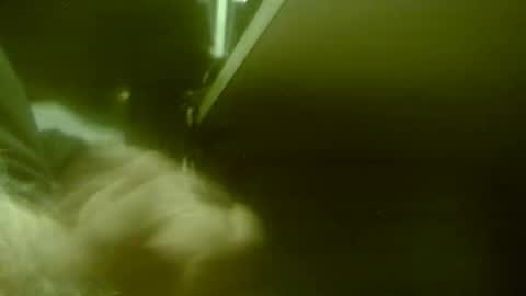 amolafica12 online show from November 20, 8:02 am