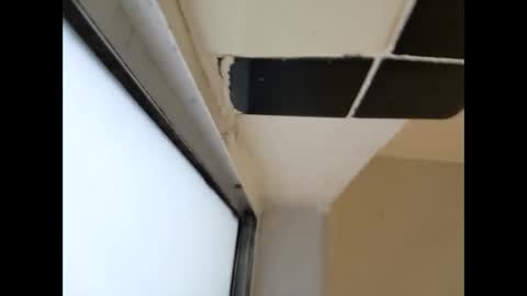 amputated_dad online show from February 9, 2:44 pm