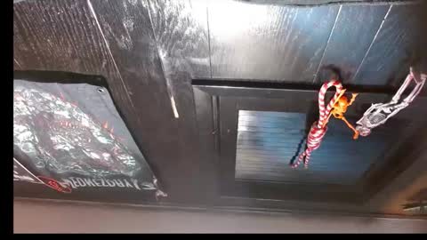 anarchistofnihil online show from March 18, 11:13 am