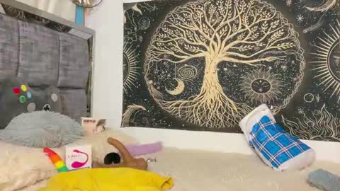 Andy online show from June 13, 2:15 pm
