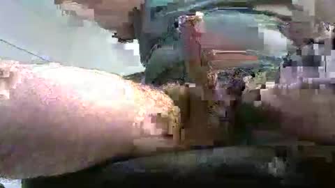 andychow381213 online show from February 24, 1:50 am