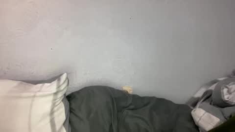 Animeboygirls online show from January 19, 4:48 am