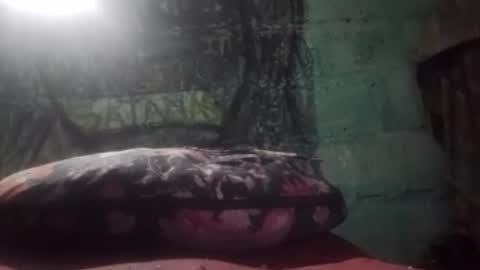 anonimode18cm1 online show from March 10, 5:13 am