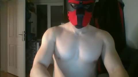 Anonymousguy online show from November 28, 9:38 pm