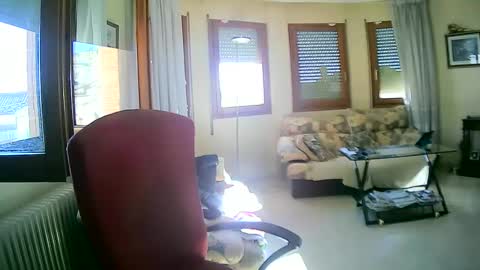 Snapshot of antonio2605 chatting on January 13, 11:19 am Antonio online show from January 13, 11:19 am