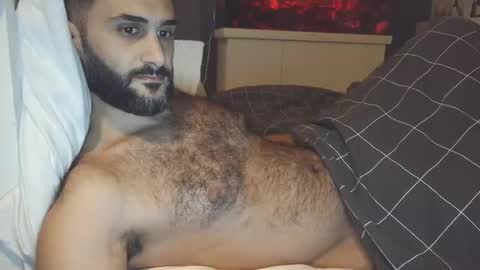 Snapshot of arabhairy90 chatting on December 25, 7:34 pm hairycub online show from December 25, 7:34 pm