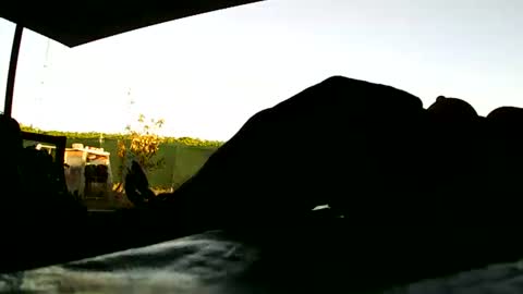 ods73 online show from September 14, 5:26 pm