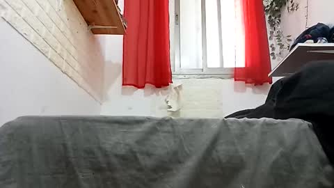 arielferdman online show from December 3, 9:53 am