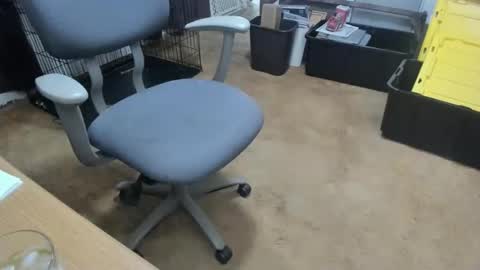 armalite16 online show from January 18, 3:30 am