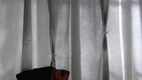 ARMANDO online show from May 7, 7:03 pm
