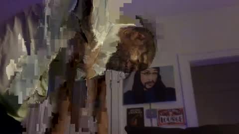 Arteblazze not daddy boy bitch or nigga online show from June 22, 3:46 am