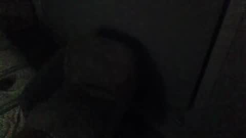 Snapshot of aszttz chatting on February 8, 3:42 pm aszttz online show from February 8, 3:42 pm