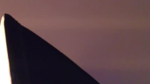 austinreeds online show from April 19, 6:10 pm