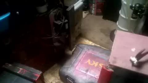 Pluke online show from April 8, 8:03 am