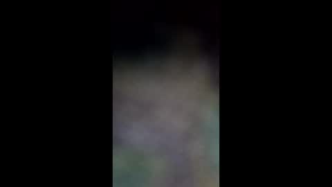 averagejoey89 online show from May 22, 6:29 am