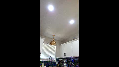 az2312752908 online show from April 15, 11:21 pm