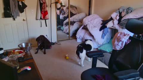 b1gbanana online show from March 13, 7:09 pm