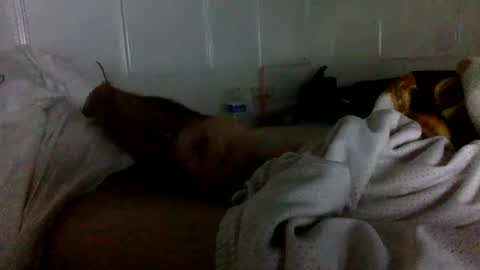 Snapshot of babyboii42o chatting on October 13, 2:39 am babyboii42o online show from October 13, 2:39 am