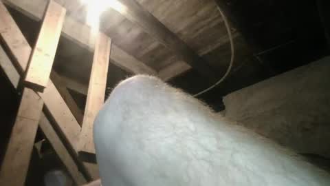 Snapshot of babyxxxangel chatting on September 20, 9:42 am babyxxxangel online show from September 20, 9:42 am