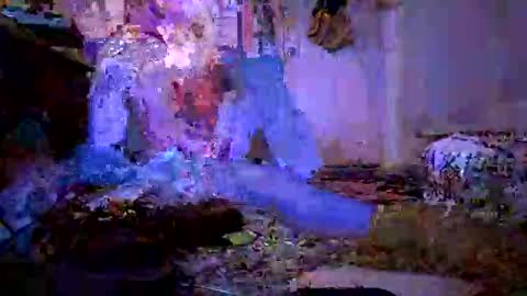 baconparma online show from October 11, 6:45 pm