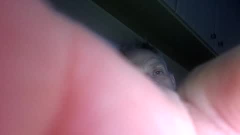 badger150 online show from December 22, 11:42 pm