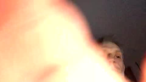 badger150 online show from January 11, 11:24 pm