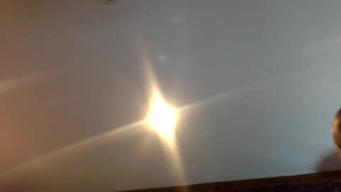 bagchaserbih online show from April 4, 3:58 am