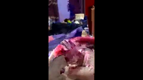 bahaa5555 online show from March 30, 6:31 pm