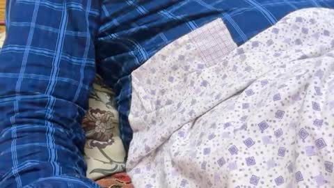 balajigoal online show from February 21, 5:58 pm