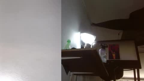 bambam online show from October 23, 6:33 pm