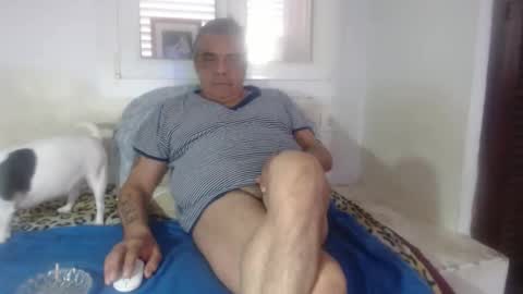 bambino6060 online show from November 2, 1:15 pm