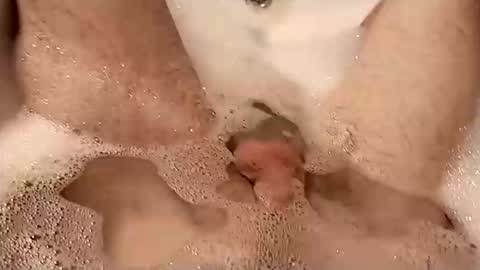 bananek online show from November 22, 6:29 pm