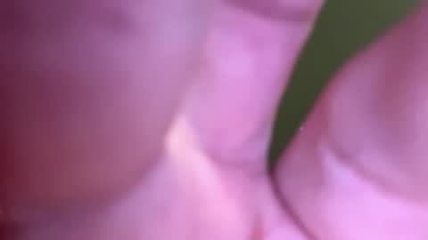 banksdb801 online show from February 2, 10:40 pm