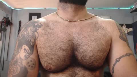 Snapshot of bardockroy_ chatting on February 1, 9:51 pm bardock online show from February 1, 9:51 pm