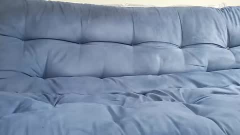 barpol online show from April 3, 1:52 pm