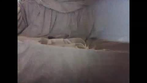 Snapshot of barrysand chatting on October 4, 10:31 am barrysand online show from October 4, 10:31 am