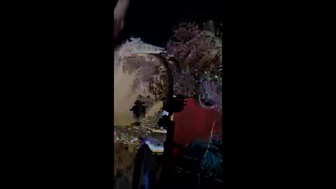 basx13161347 online show from March 11, 12:50 am