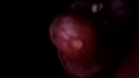 bcfalcon69 online show from June 14, 5:09 am