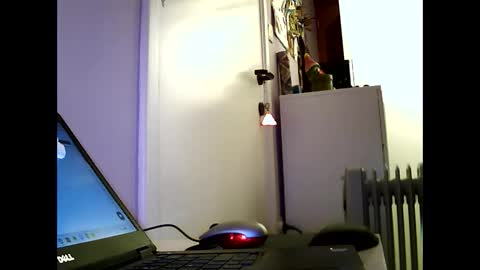 bdsmlover2025 online show from January 5, 10:46 pm