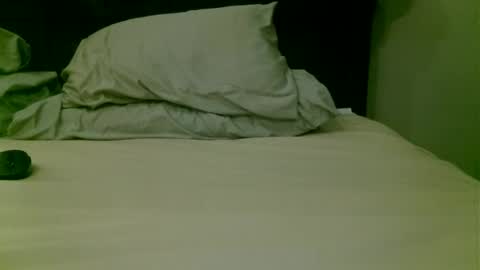 beagle1 online show from April 17, 5:10 am