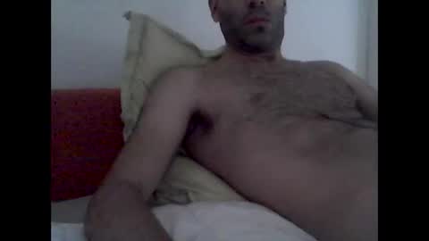 bear14250949 online show from December 20, 12:45 pm