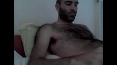 bear14250949 online show from November 29, 11:56 am