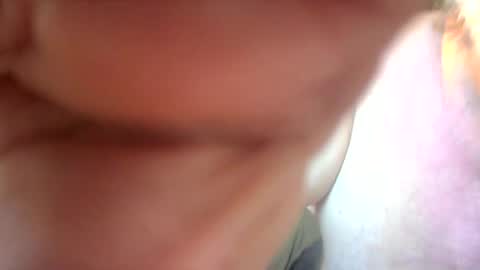 bear online show from June 29, 10:37 am