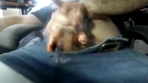 beardhard247 online show from March 22, 9:42 pm